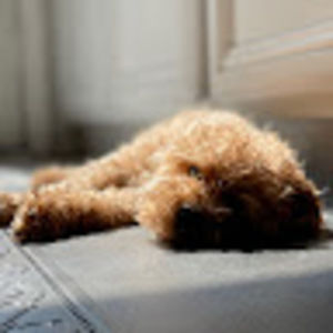 Meet your Posher, Ethan